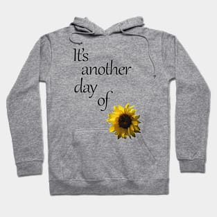 It's another day of sun Hoodie